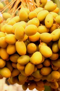 cooking in israel, dates